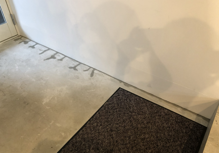 クロコデザインの危機