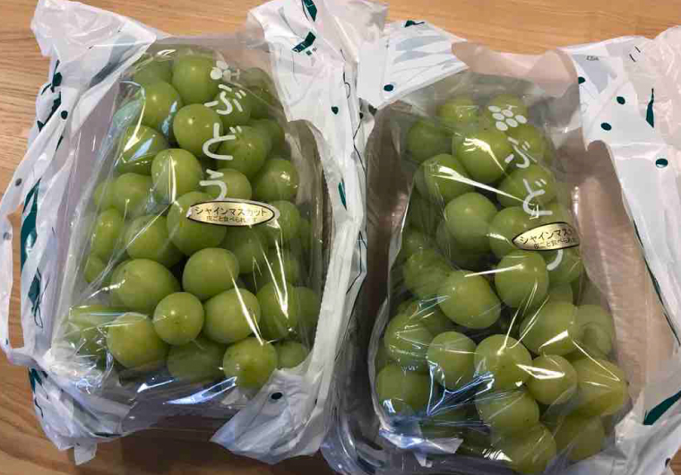 シャインマスカット!