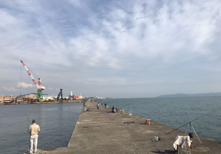 播磨町にある人口島の堤防