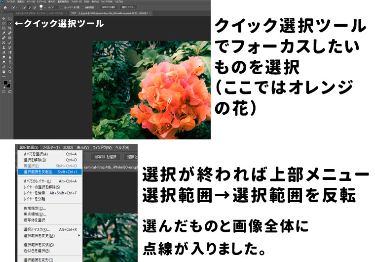 【Photoshop】背景をぼかしてフォーカスする方法【簡単チュートリアル】