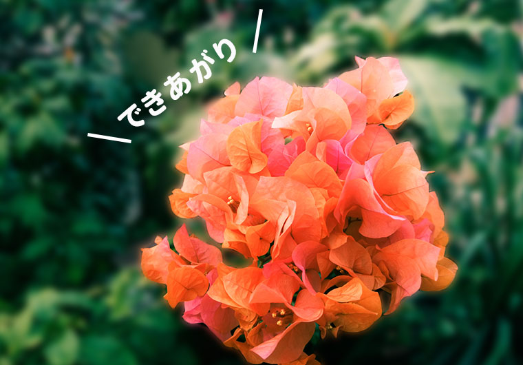 【Photoshop】背景をぼかしてフォーカスする方法【簡単チュートリアル】