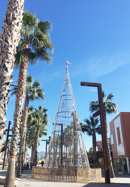 ¡Buen viaje! 世界のまち歩き⑤~アルへシラス(スペイン)