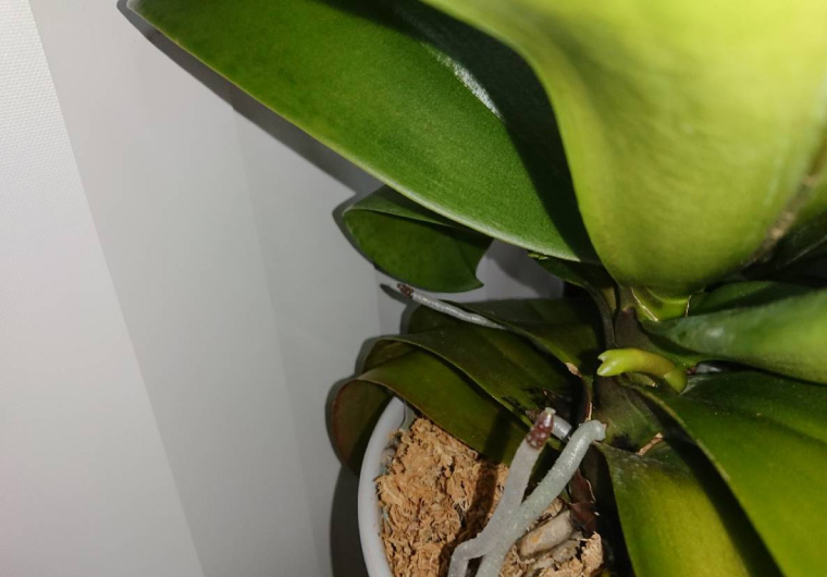 嬉しいできごと！